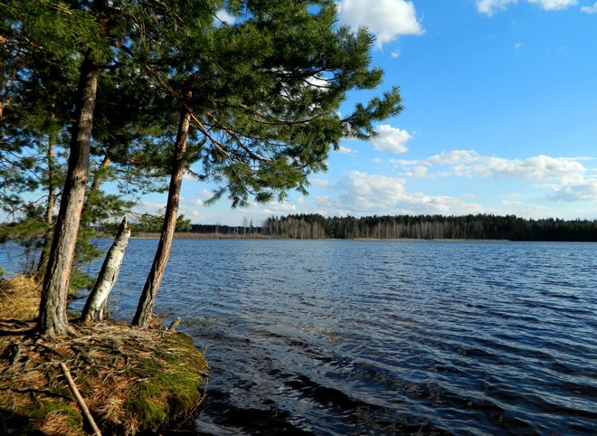 В Ласковском озере запретили купаться