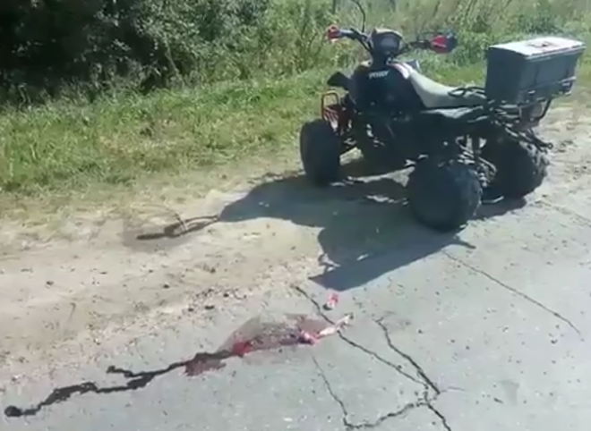 В Михайловском районе после ДТП квадроцикл упал на голову мужчине (видео)