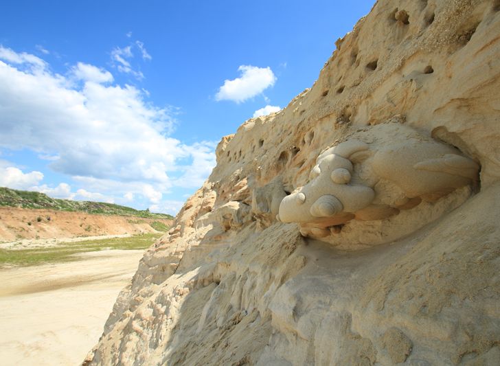 В Рязанской области откопали останки ягуаразавра