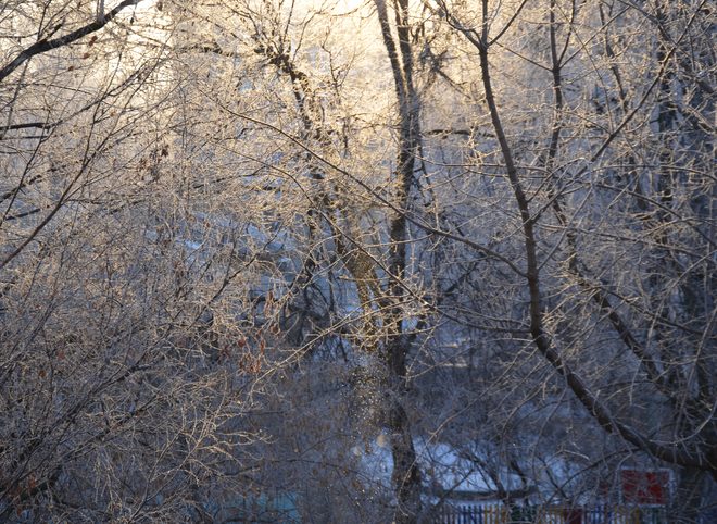 В Рязанской области ожидаются 20-градусные морозы