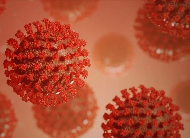 Ученые назвали главную причину смерти от коронавируса