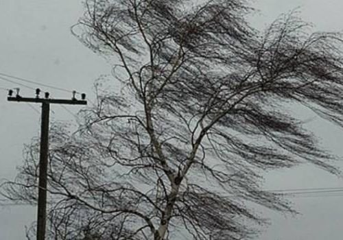 В первый день апреля в Рязани сохранится сильный ветер