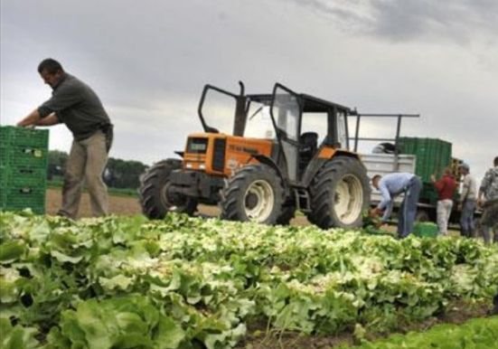 Против санкций в отношении РФ выступили немецкие фермеры