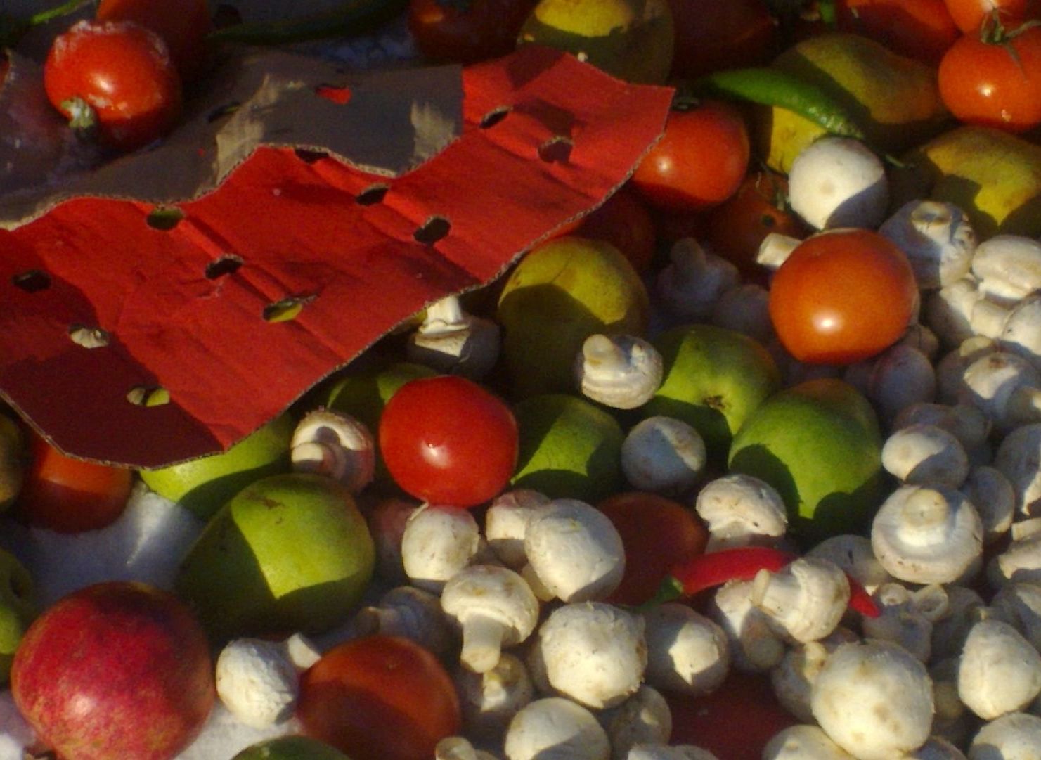 В Рязани уничтожили более тонны санкционных овощей и фруктов