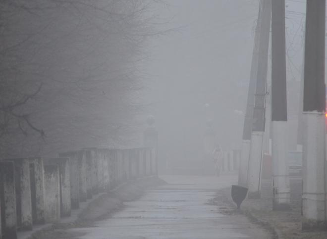 Рязанскую область окутает густой туман