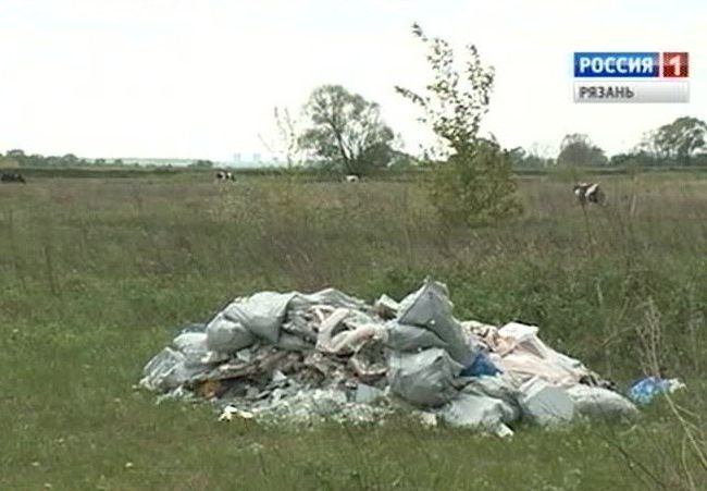 Рязанское село Поляны заросло кучами мусора