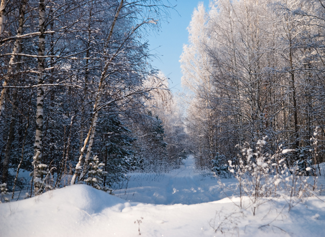 В Гидрометцентре рассказали, когда в Центральную Россию придет настоящая зима