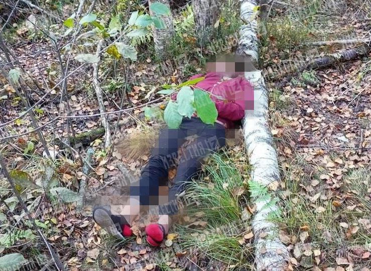 В Ленинградской области обнаружили женский труп без глаз