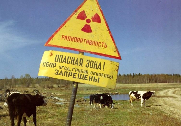 222 населенных пункта области уберут из чернобыльского списка