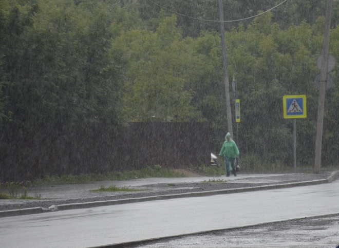 Синоптики: шторм придет в Рязанскую область раньше, чем ожидалось