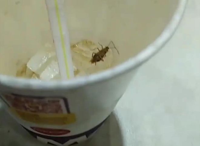 В рязанском McDonald’s в напитке нашли таракана