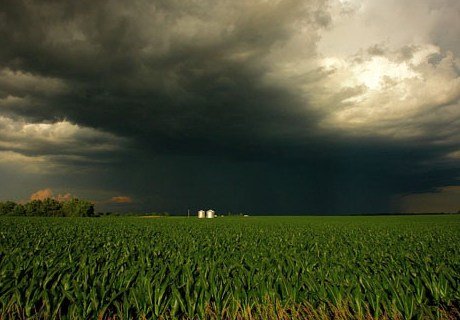МЧС предупредило рязанцев о смене погоды в ближайшие часы
