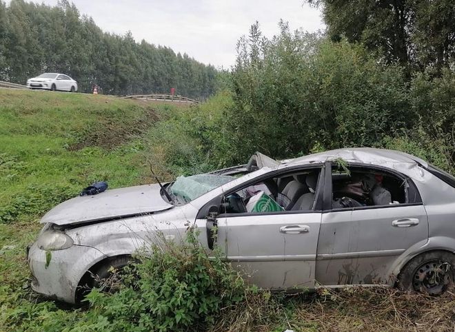 В Александро-Невском районе иномарка опрокинулась в кювет, пострадал водитель