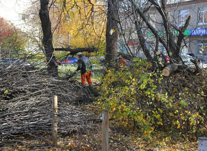 В Рязани продолжаются работы по благоустройству и озеленению города