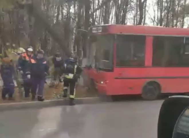 На улице Гагарина автобус врезался в дерево