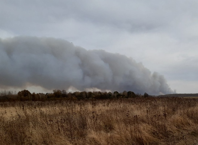 Несколько лесных пожаров произошли под Рязанью из-за разлета снарядов