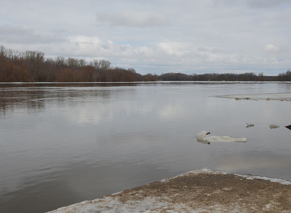 Уровень воды в оке г рязань. Ока река уровень воды Рязань. Половодье в Рязанской области. Уровень воды в Оке Рязань. Паводок на Оке 2023 Серпухов.