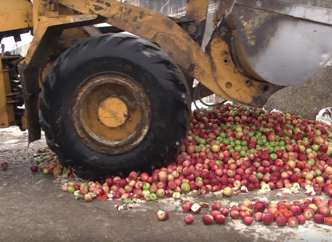 В Рязани уничтожили партию санкционных овощей и фруктов (видео)