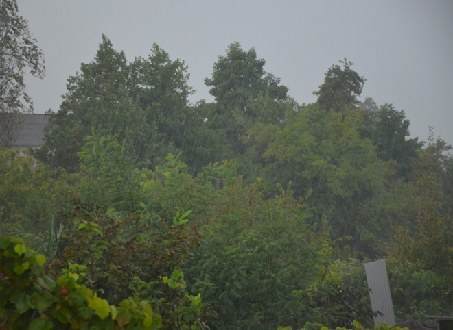 В понедельник в Рязанской области ожидаются сильные дожди