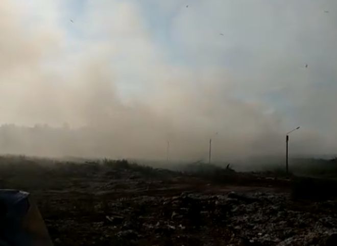 Пожар на свалке у Турлатова локализован