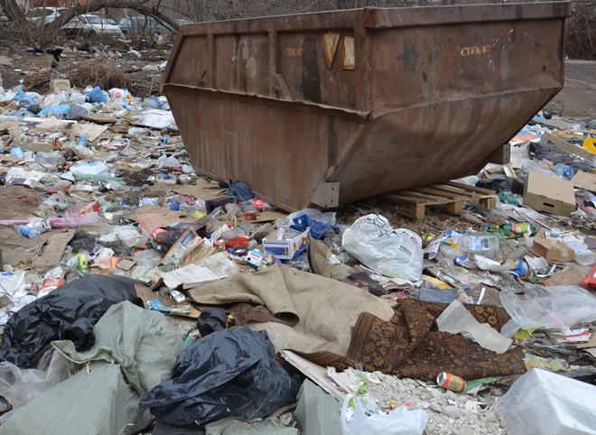 На создание госкомпании по переработке отходов выделили 75 млрд рублей