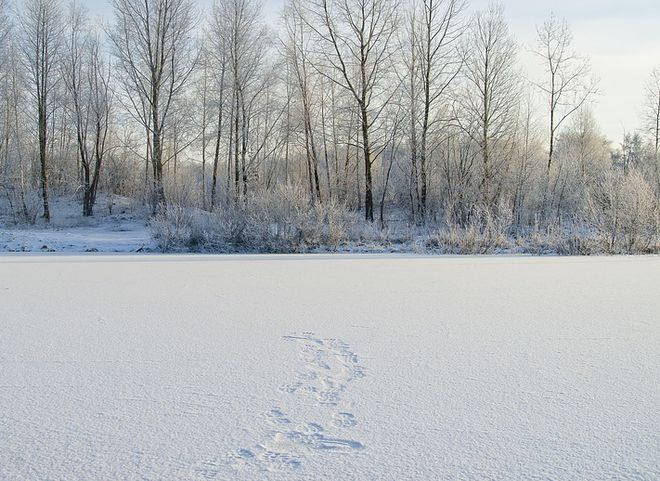 В Сибири трехлетний мальчик замерз насмерть, проведя ночь на улице без одежды