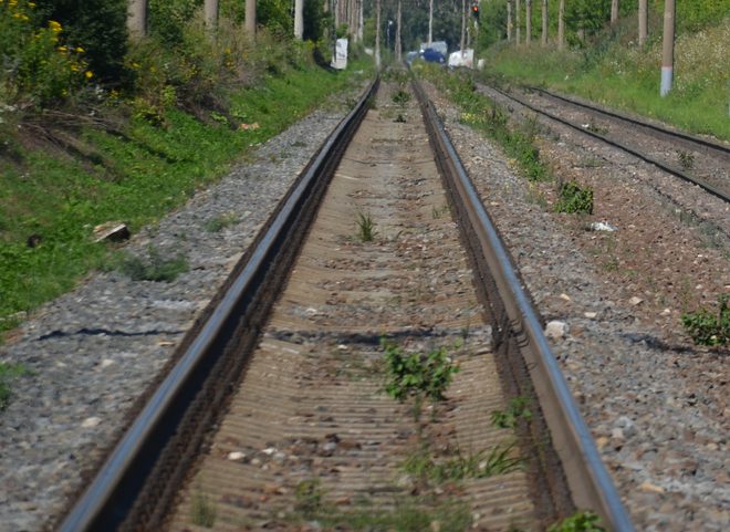 СК: мужчина, попавший под поезд в Рязани, после наезда был жив