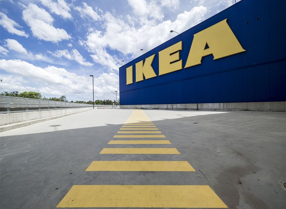 IKEA извинилась за пост в соцсетях со сравнением женщины и собаки