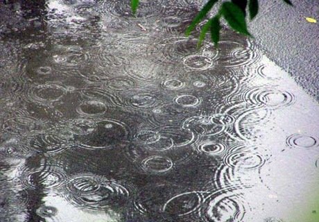 В Рязанской области ожидаются дождь, гроза, град