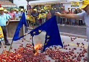 Испанские фермеры сожгли флаги ЕС из-за падения цен