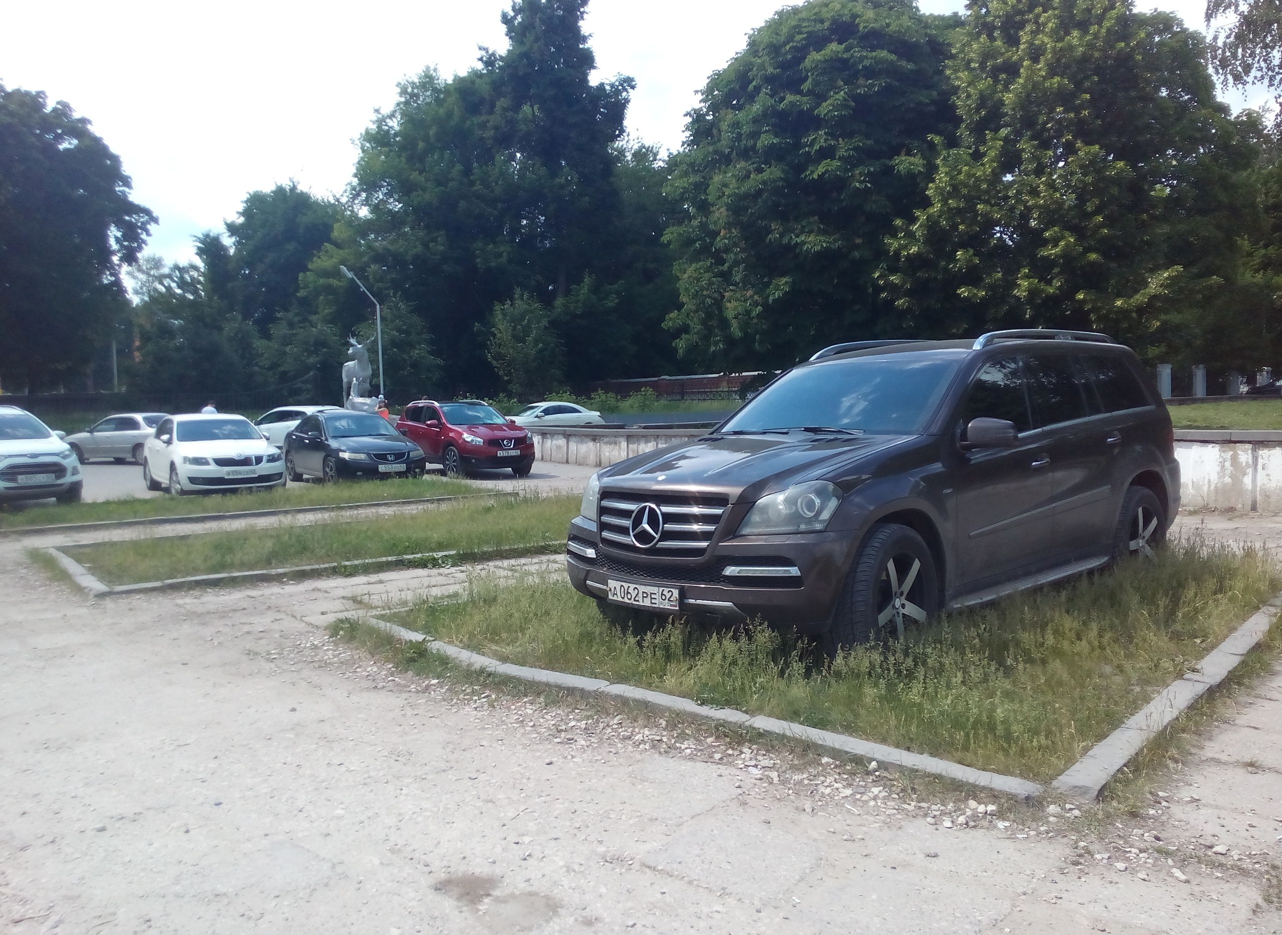 Фото: в Рязани водитель Mercedes припарковался на «личном пастбище»