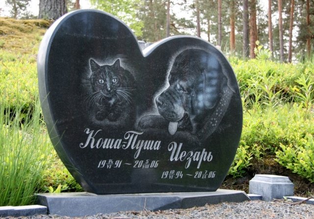 В Рязани появятся кладбища для животных