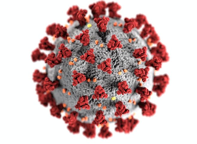Гинцбург полагает, что штамм коронавируса «омикрон» может вытеснить «дельту»