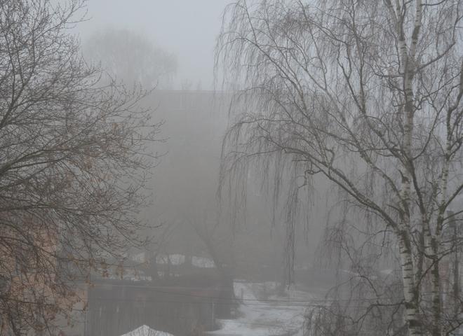 Рязанское МЧС вновь выпустило предупреждение о тумане