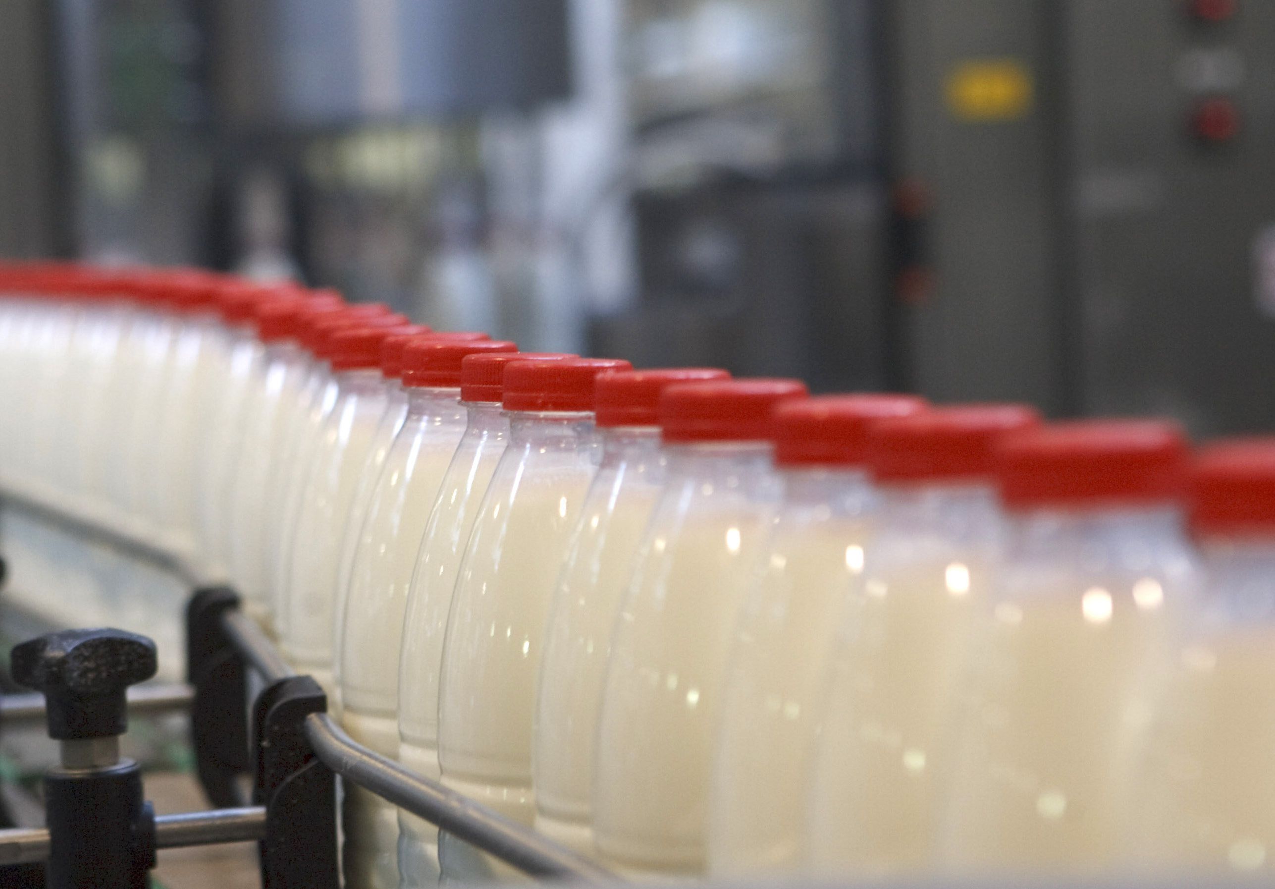 Рязань стала 4-й в ЦФО по производству молока