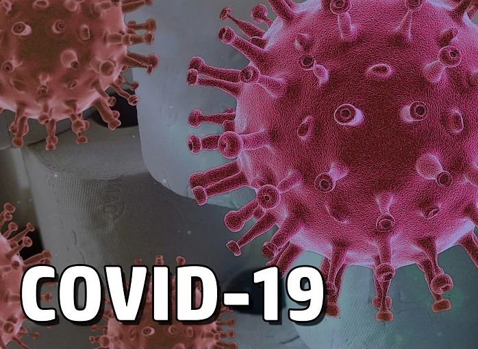Еще 42 рязанца «официально заболели» коронавирусом