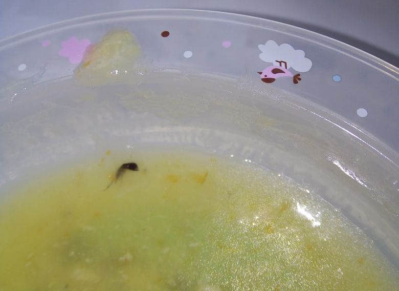 Пациенту рязанской детской больницы подали суп с тараканом