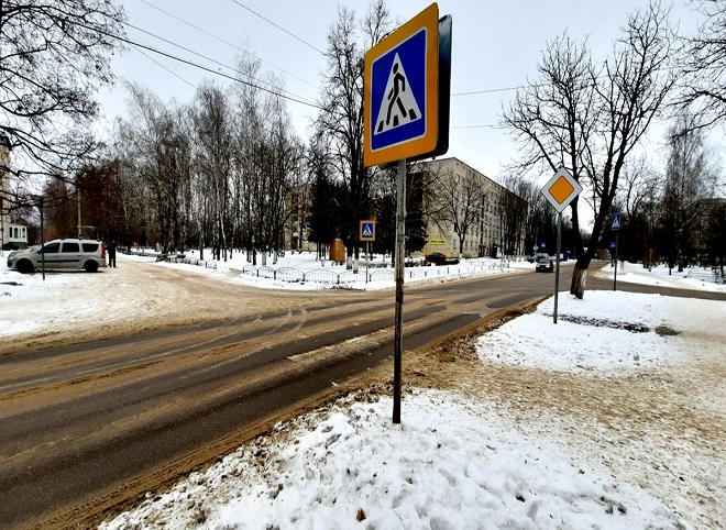 В Новомичуринске водитель сбил девушку и скрылся, полиция ищет очевидцев