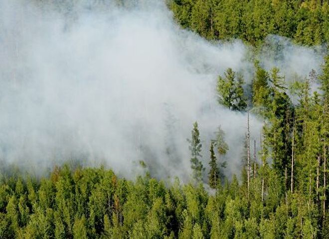 В МЧС назвали основную причину пожаров в Сибири