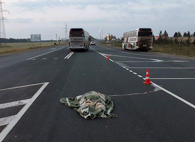 Опубликованы фотографии с места гибели женщины на трассе под Михайловом