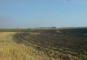 Огонь уничтожил урожай овса в Захаровском районе