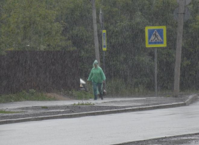 На 1 мая в Рязанской области объявлено штормовое предупреждение