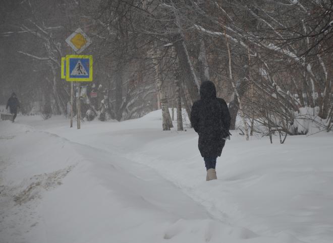 Снегопад в Рязани продлится до конца суток