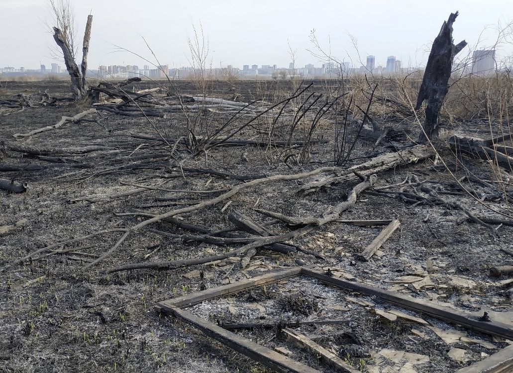 Опубликованы фотографии сгоревших полей за «Глобусом»
