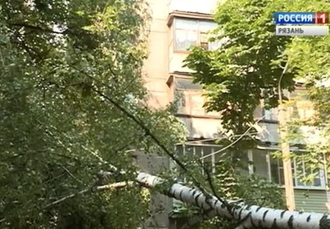 В Рязани электрические провода рухнули на детскую площадку