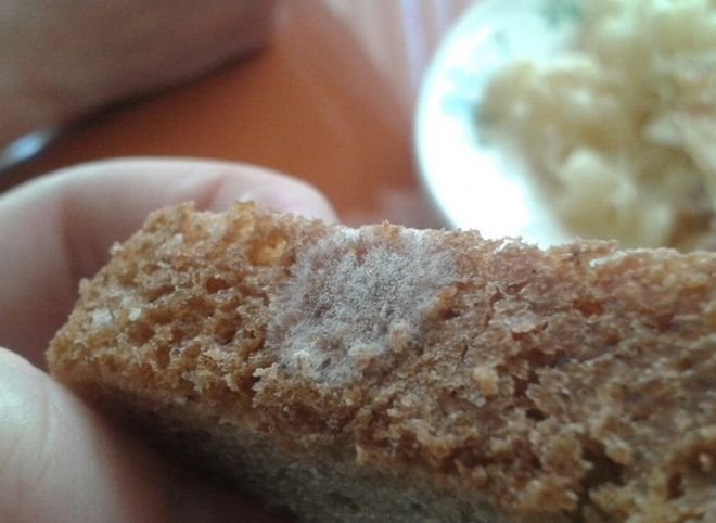 В Нижнем Тагиле ученикам одной из школ в столовой выдали хлеб с плесенью