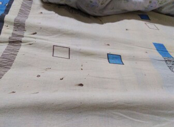 Пациент опубликовал «кровавое» фото из рязанской БСМП