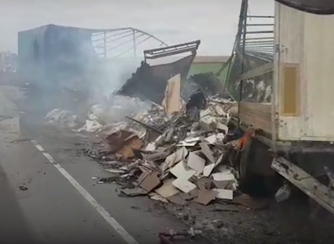 В Рязанской области лоб в лоб столкнулись две фуры, водитель сгорел заживо (видео)