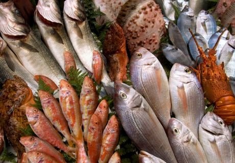 Сбербанк и кабмин Сахалинской области создадут рыбную биржу