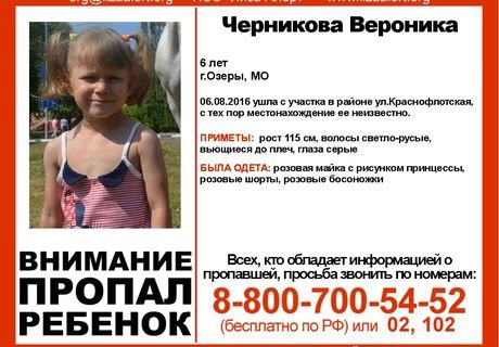 В Московской области пропала 6-летняя девочка